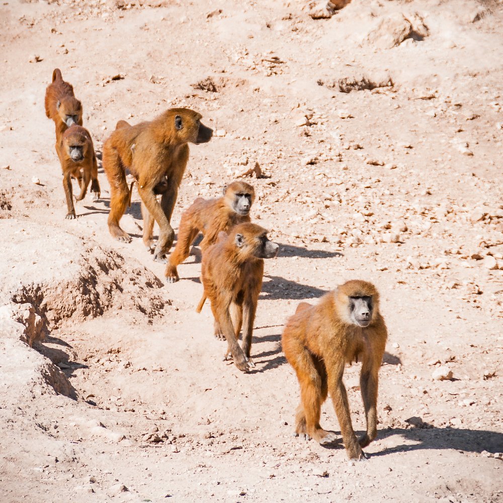 Photograph by Андрей Чернышов