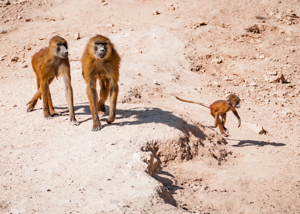 Photograph by Андрей Чернышов