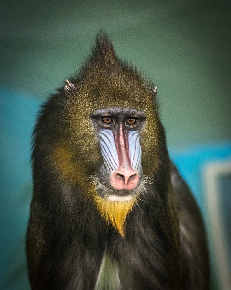 Photograph by Андрей Чернышов