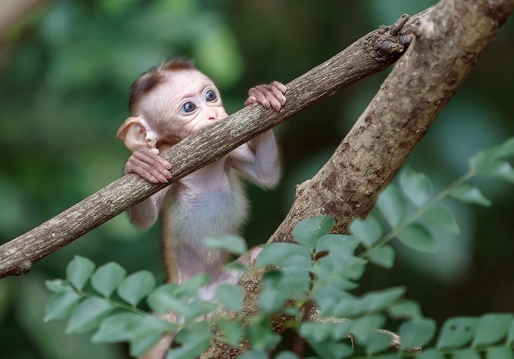 Photograph by Ирина Коденцева