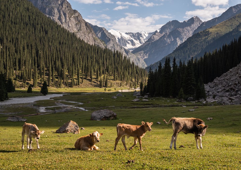 Photograph by Evgeniy Khilkevitch