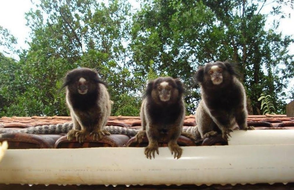 Photograph by Geraldo Amarildo Silva