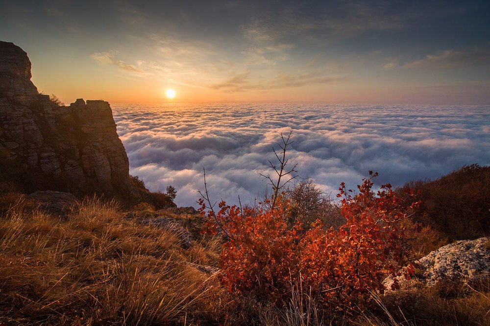 Photograph by Елена Покрепа