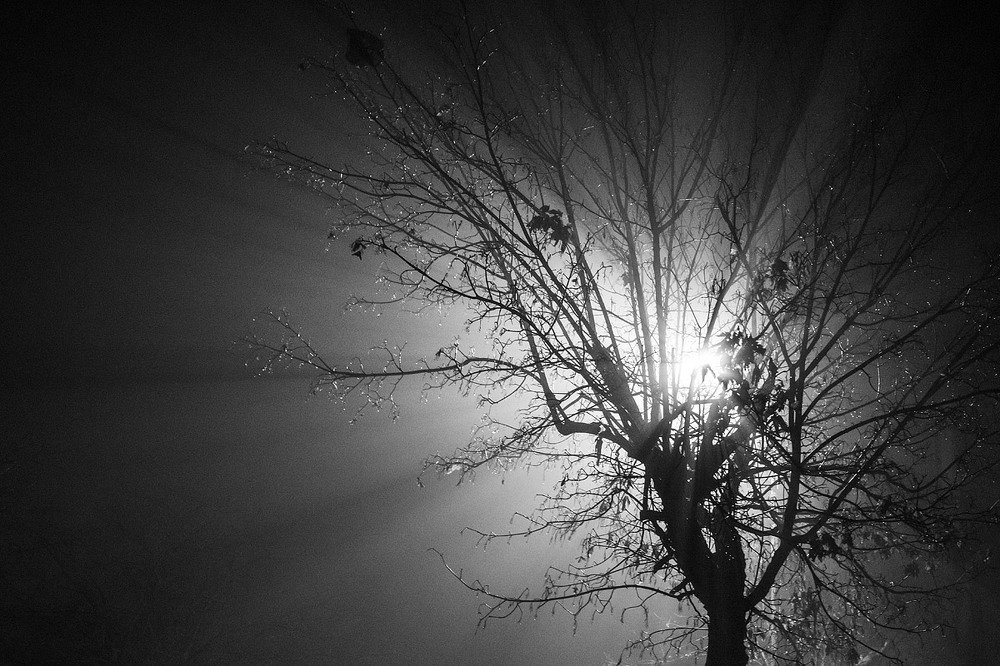 Photograph by Елена Покрепа