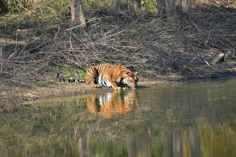 Photograph by Uthaiah Pattachravanda