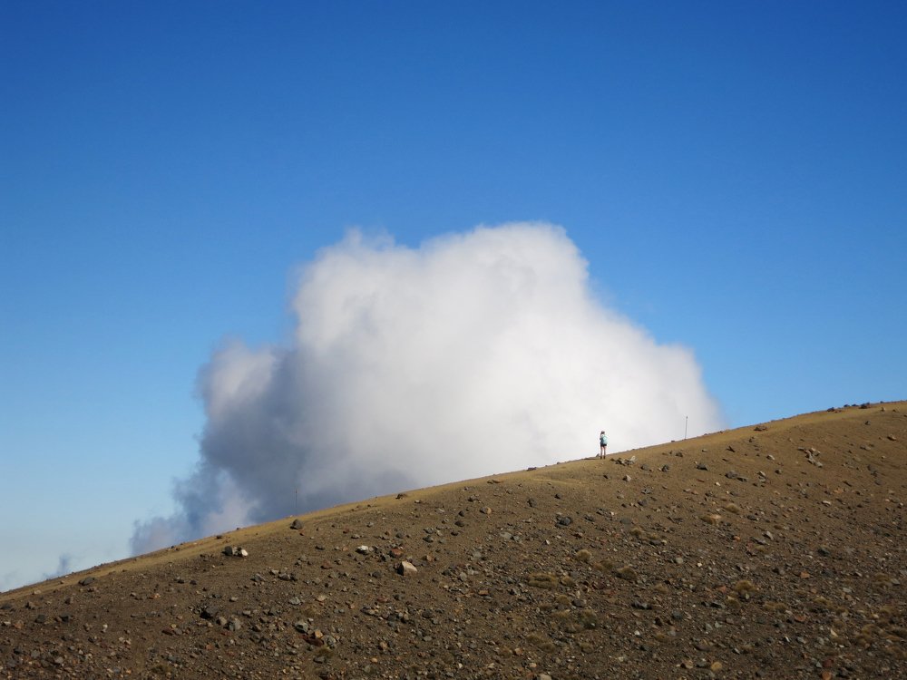 Photo #4179438
