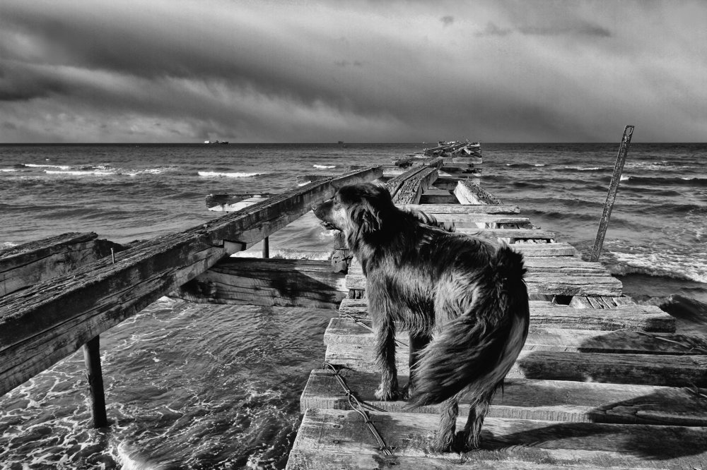 Photograph by Rafael Cheuquelaf