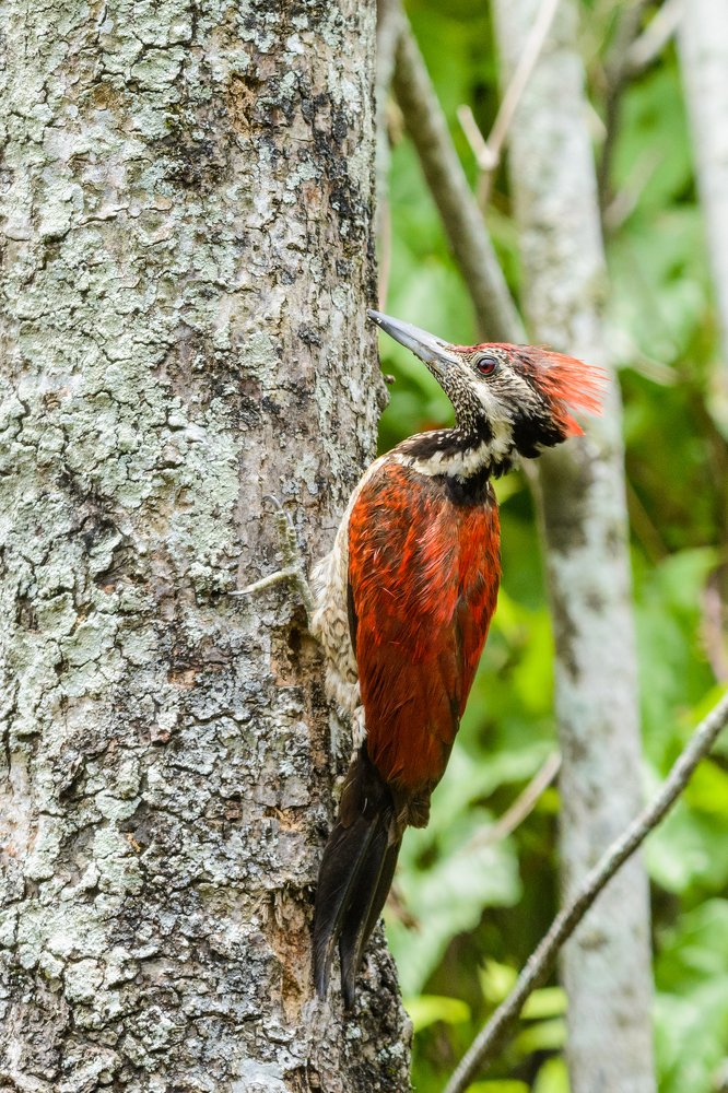 Фотография автора Thivanka Ilanperuma