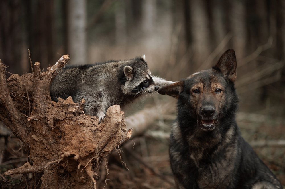 Photograph by Ирина Зайцева