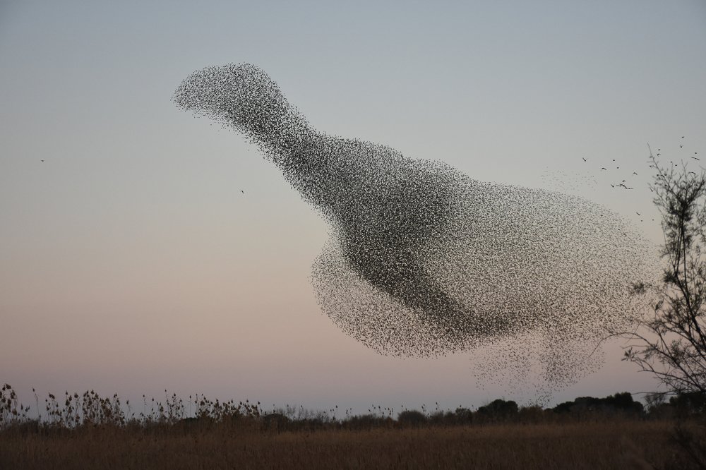 Photograph by Andres Pujades