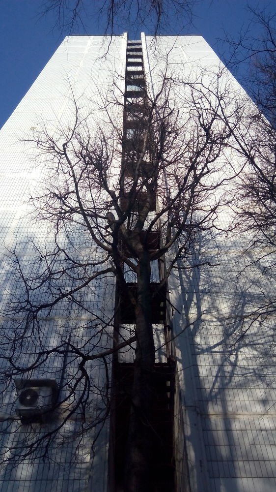 Photograph by Любовь Новикова