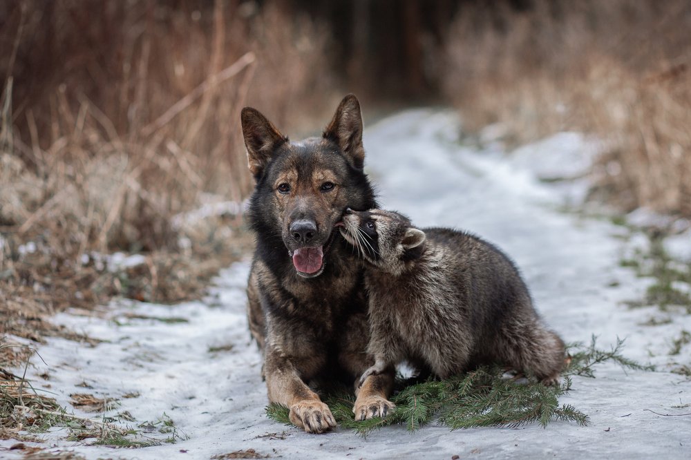 Photograph by Ирина Зайцева