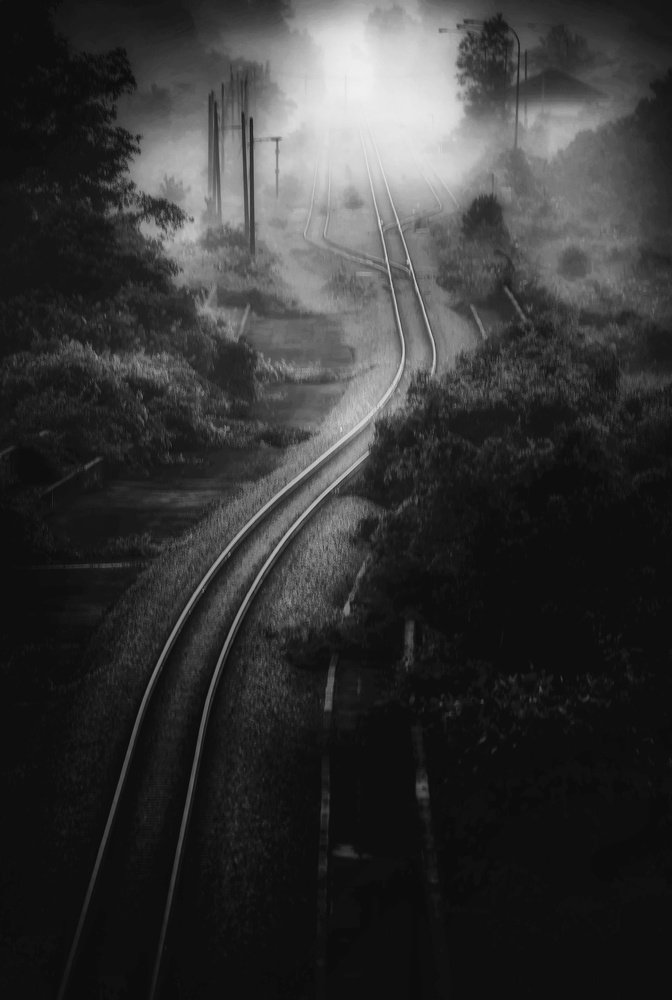 Photograph by micheal goh