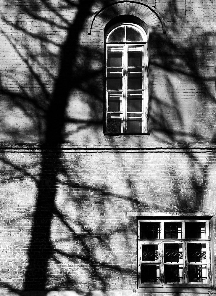 Photograph by @rufi.photo Руфи