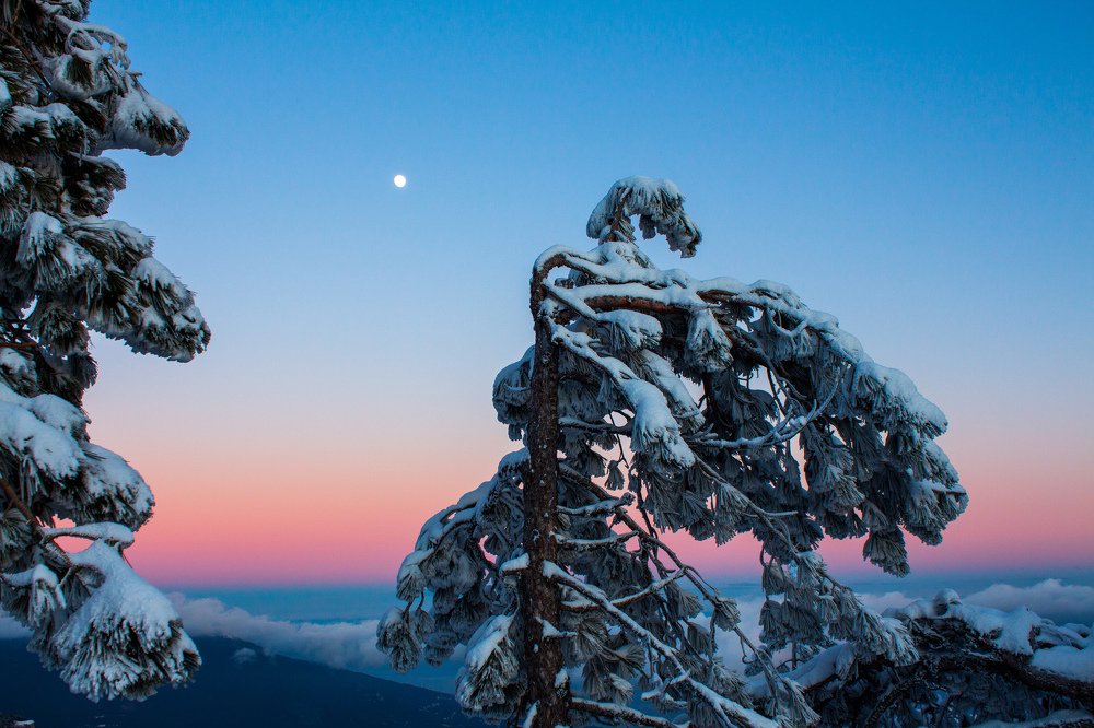 Photograph by Георгий Ладейщиков