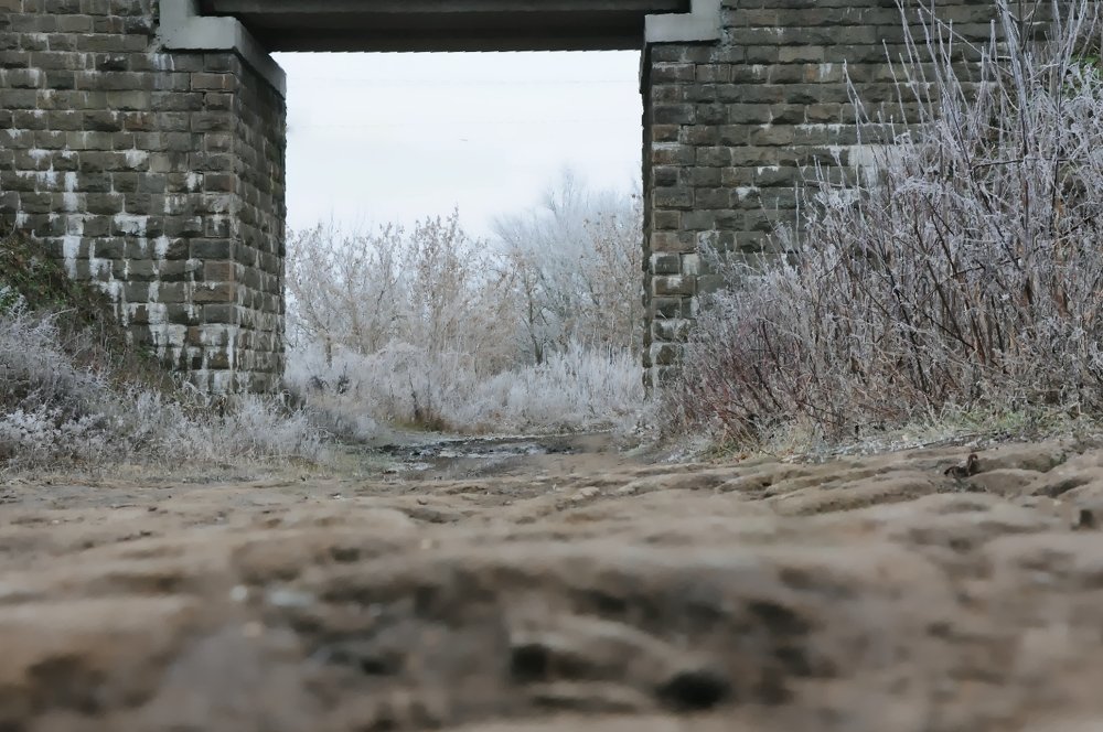 Photograph by Татьяна Маринич