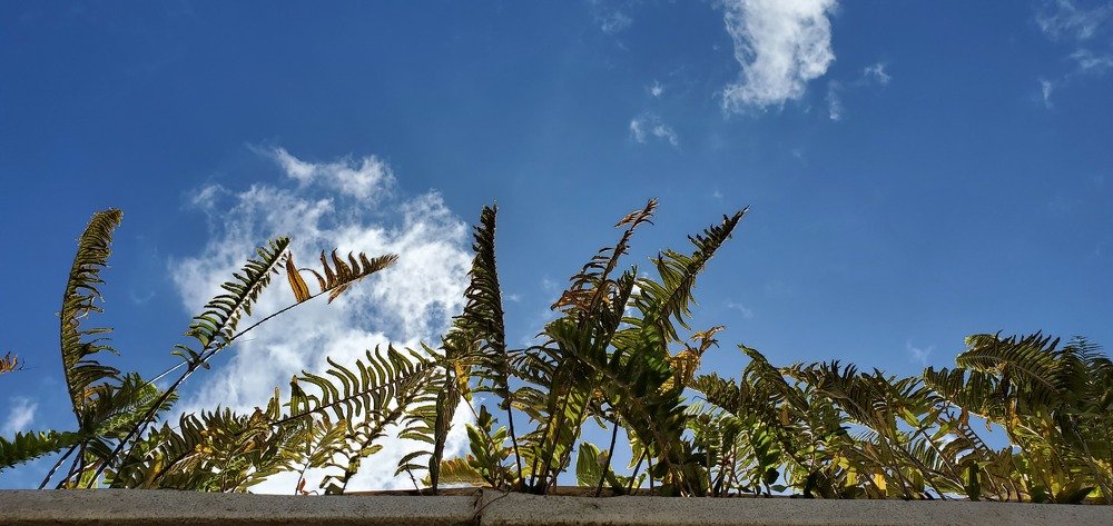 Photograph by Debs Alberto