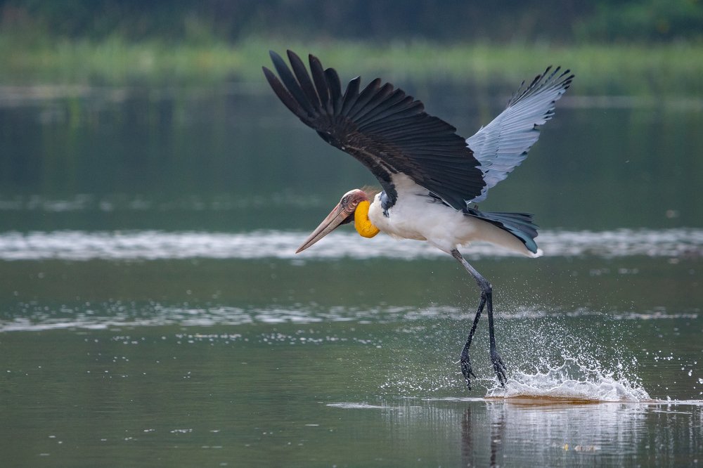 Фотография автора Thivanka Ilanperuma