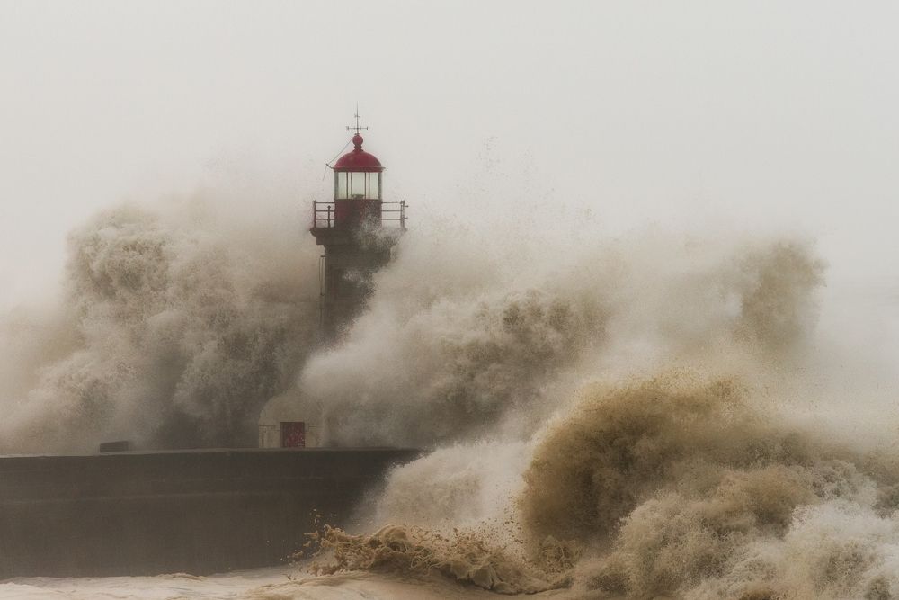 Photograph by Ricardo Leal