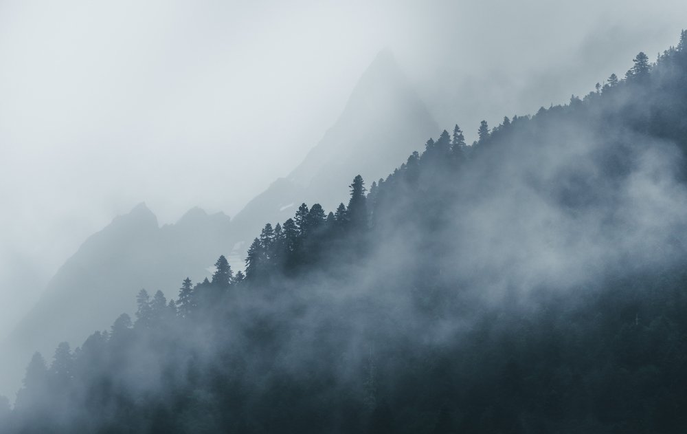 Фотография автора Алексей Победкин