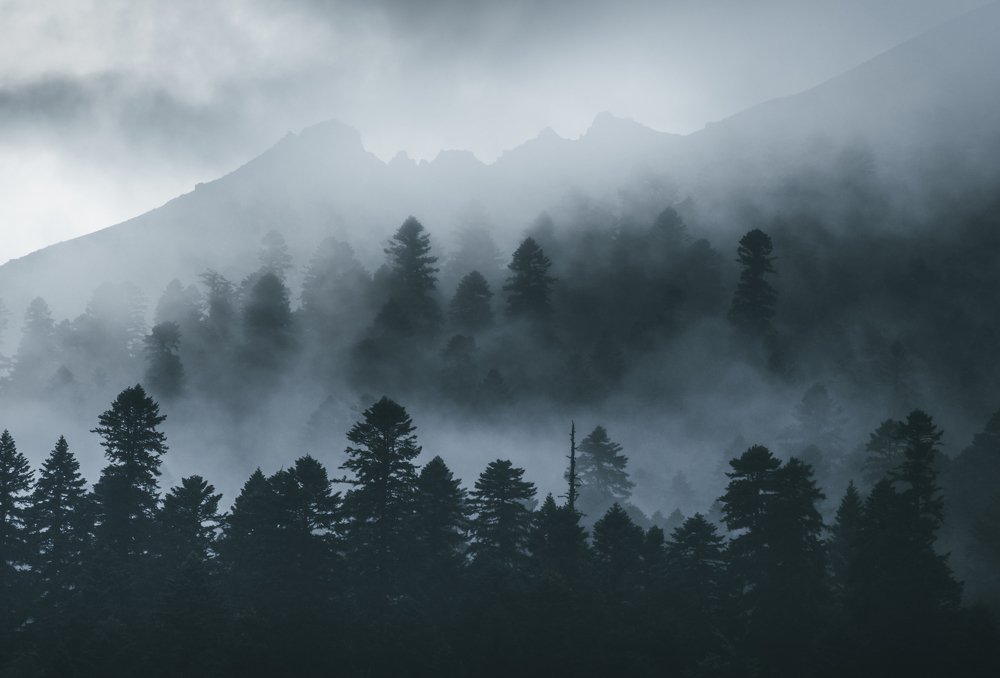 Фотография автора Алексей Победкин