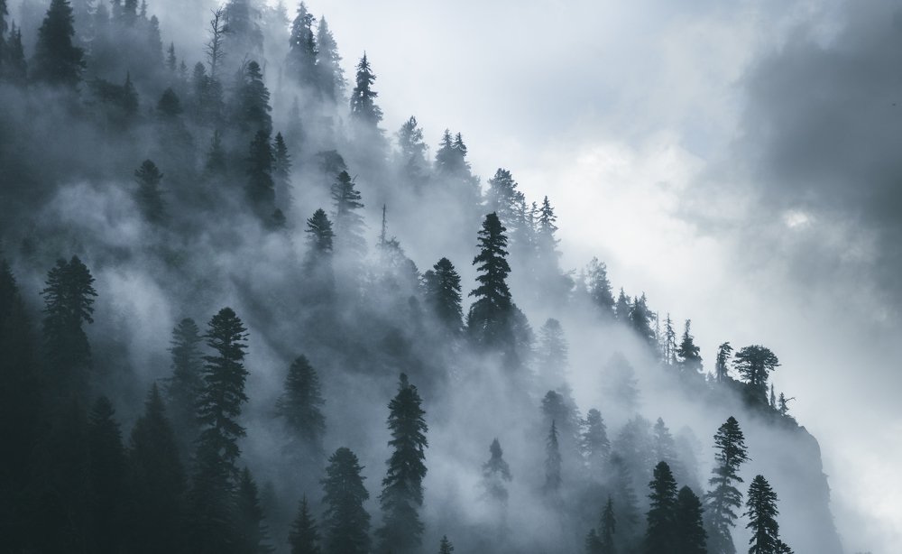 Фотография автора Алексей Победкин