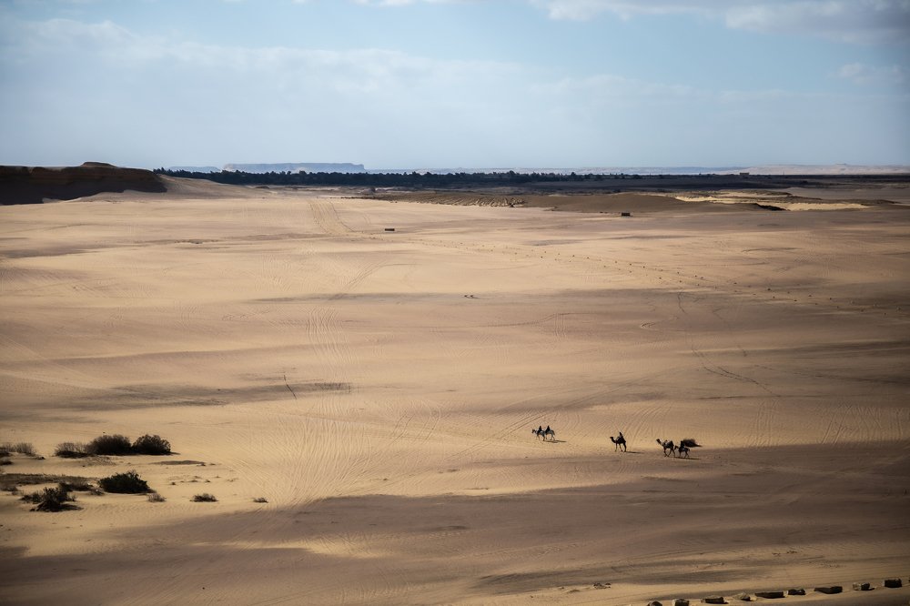 Фотография автора Ahmed Adam