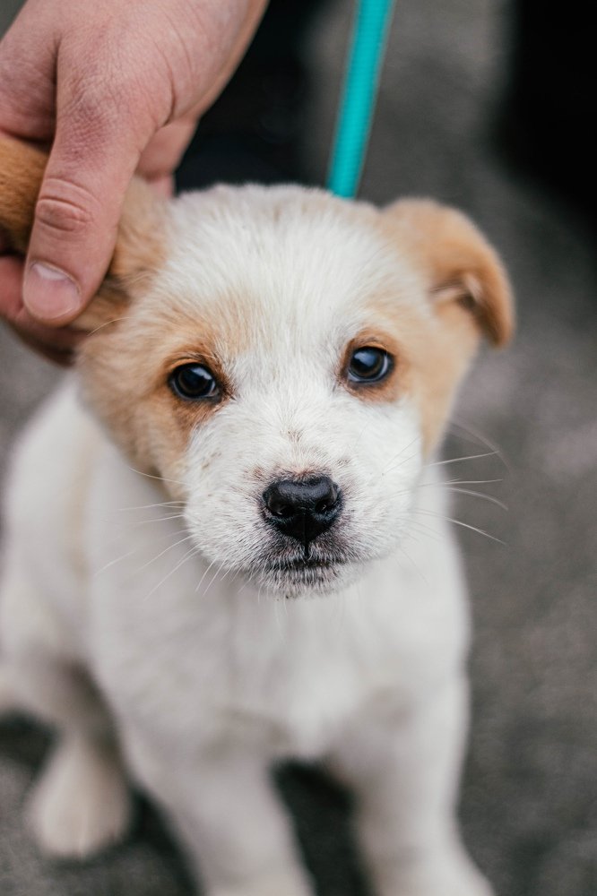 Photograph by Карина Горшкова