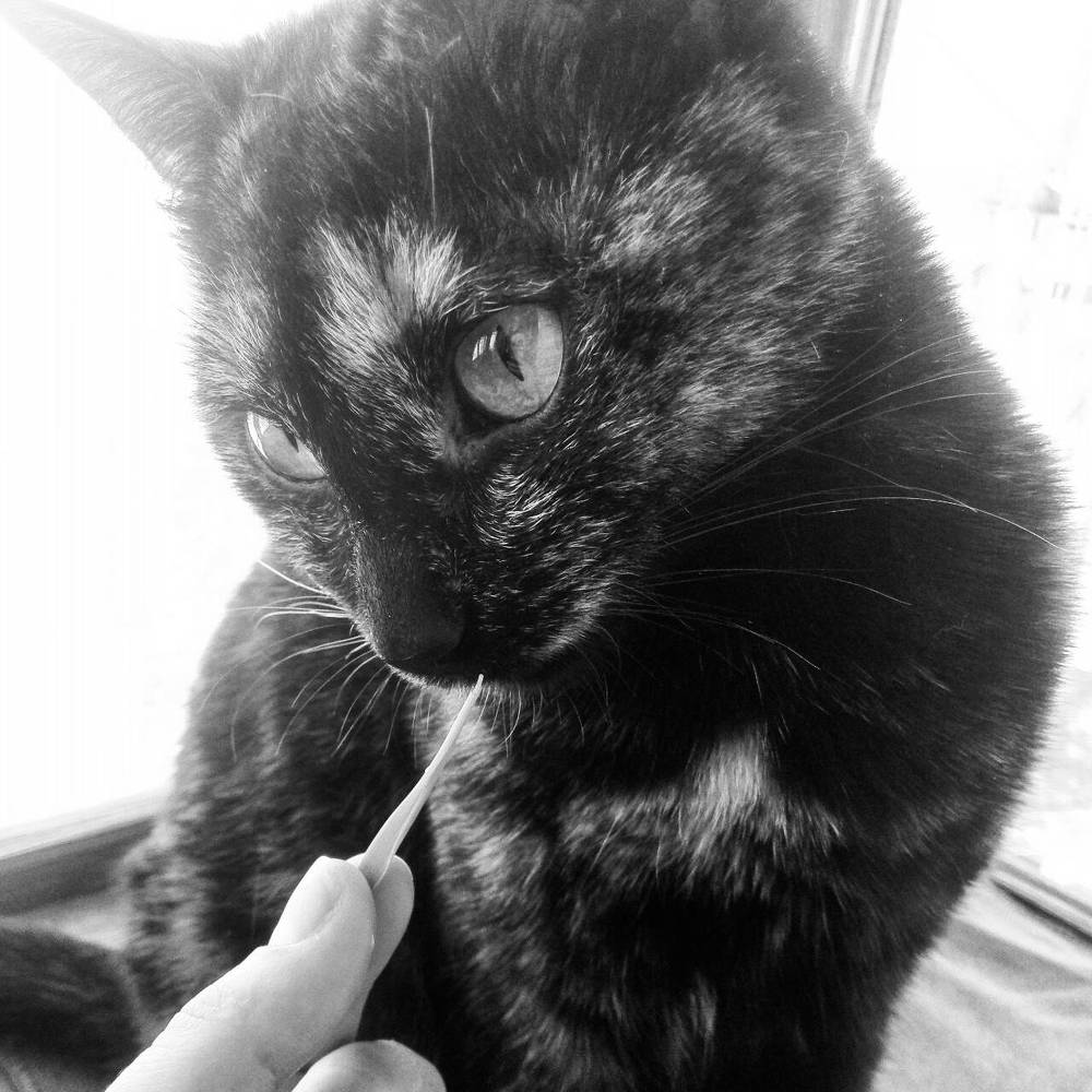 Photograph by Наталия Викторовна