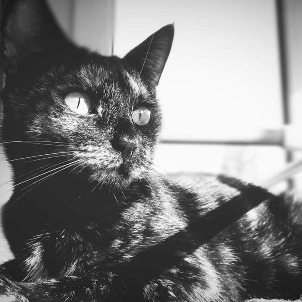 Photograph by Наталия Викторовна