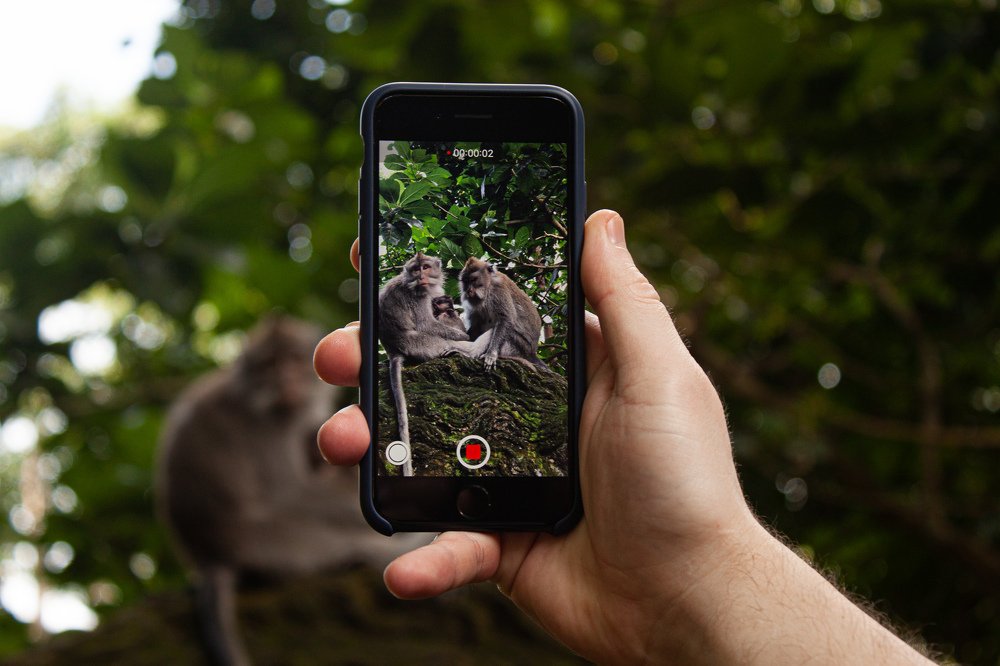 Photograph by Yana Shaforostova