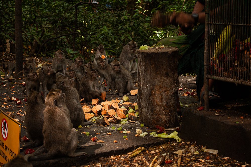 Photograph by Yana Shaforostova