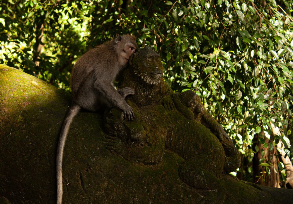 Photograph by Yana Shaforostova