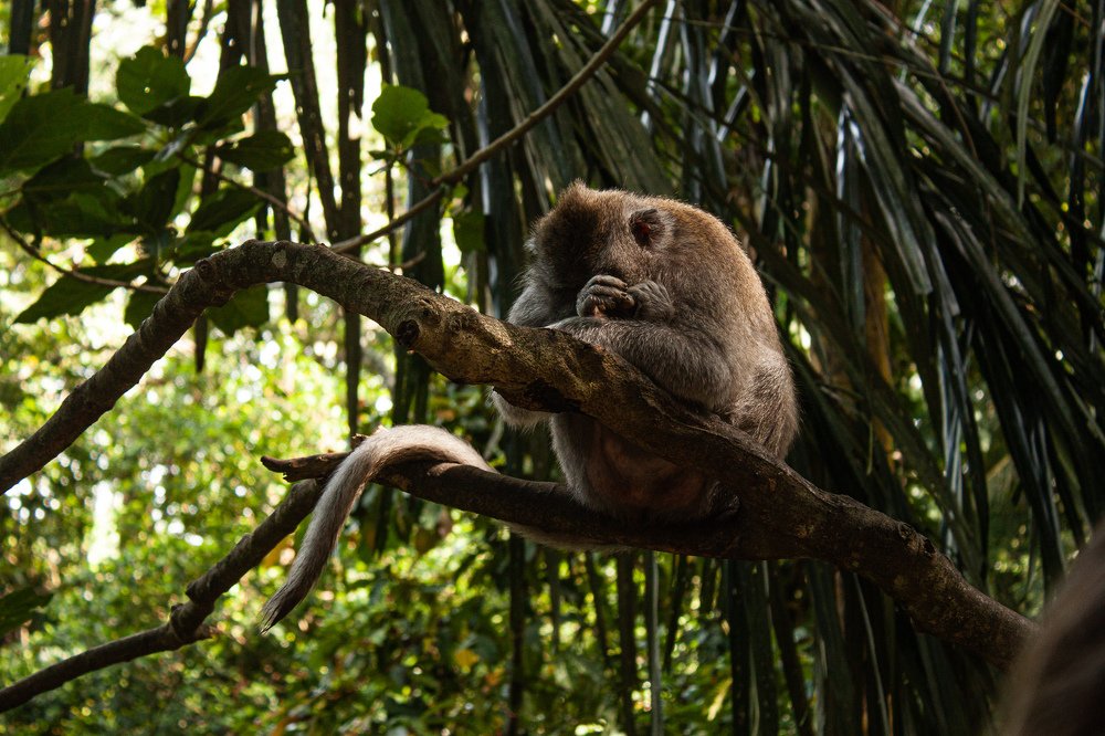 Photograph by Yana Shaforostova