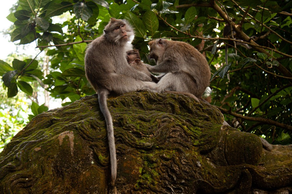 Photograph by Yana Shaforostova