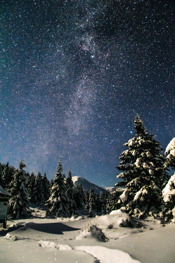 Photograph by Виктория Гашук