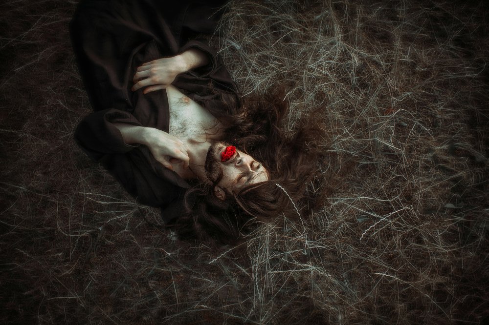 Photograph by Алина Захарчук