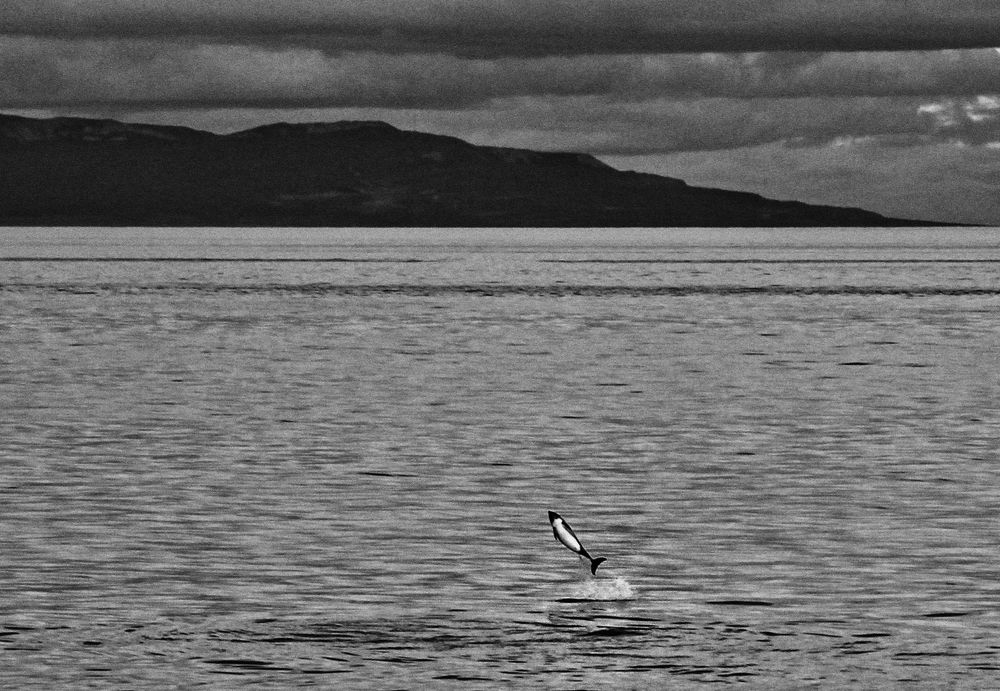 Photograph by Rafael Cheuquelaf