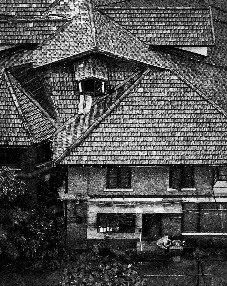 Фотография автора Елена Лаврова