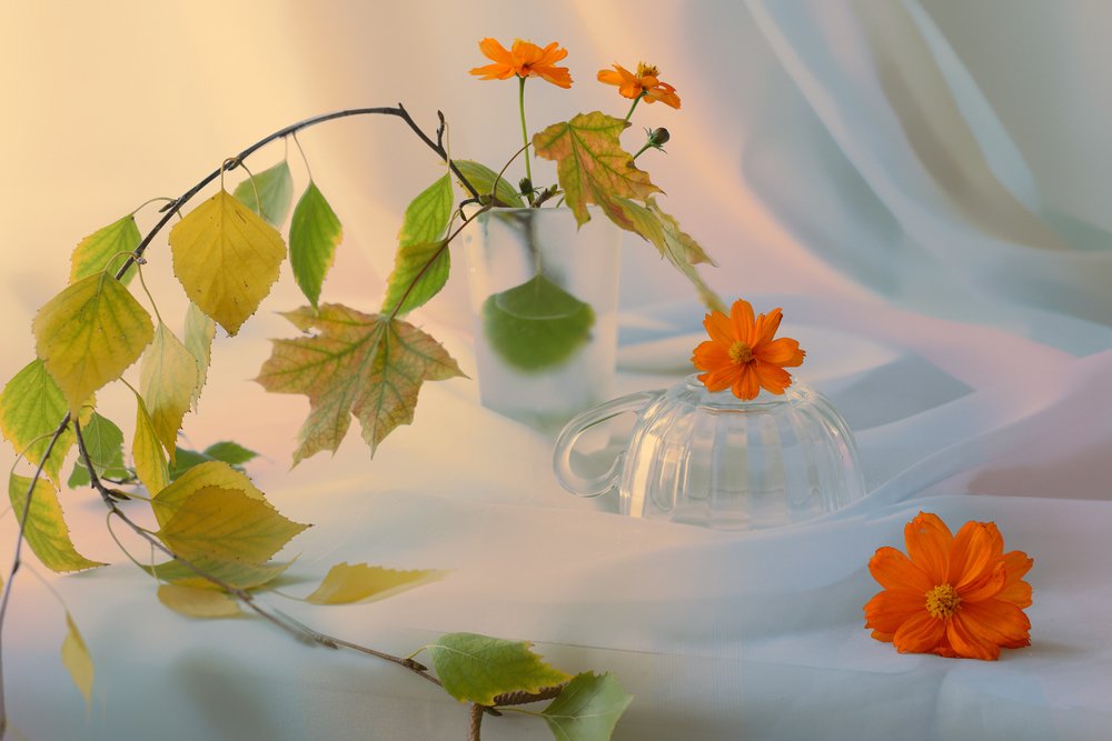 Photograph by Анжелика Королева