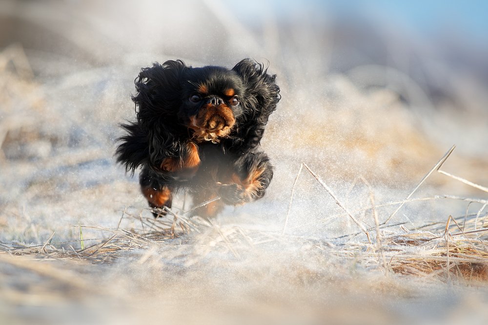 Photograph by Светлана Писарева