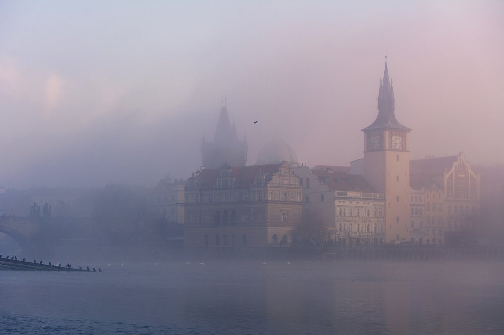 Photograph by Денис Полтораднев