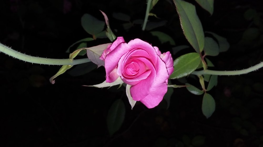 Photograph by Debs Alberto