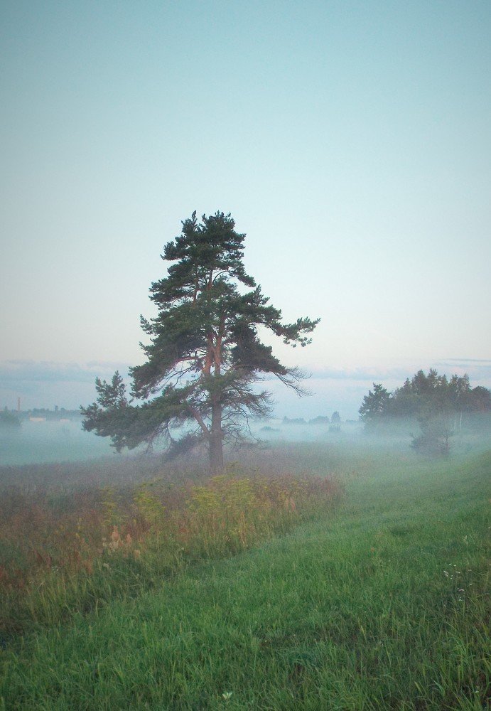 Фотография автора Виктор Конев