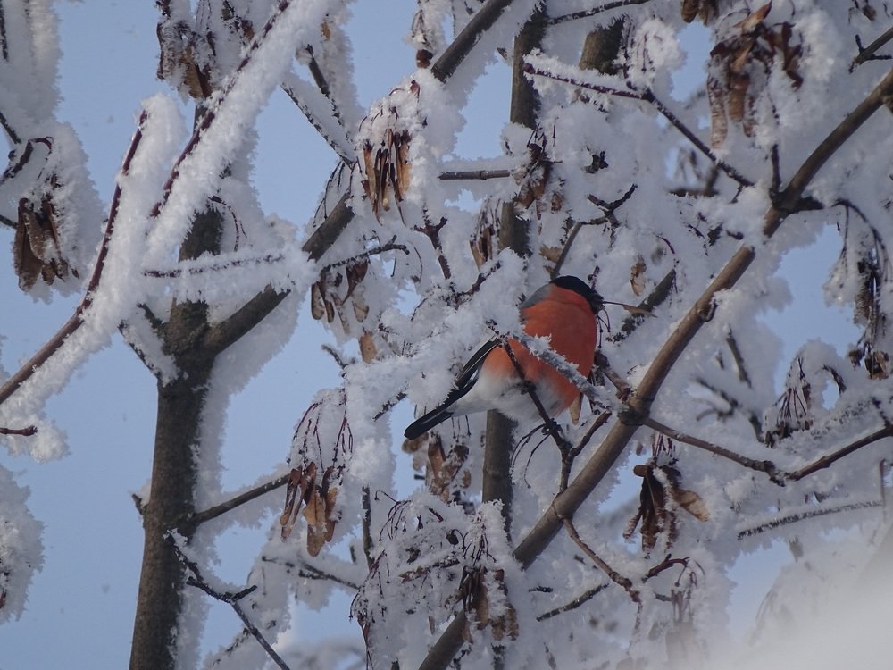 Photograph by Юлия
