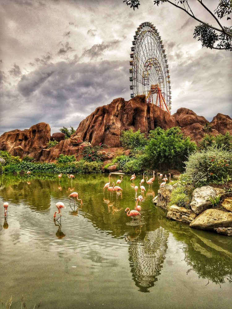 Photograph by Наина Касаева