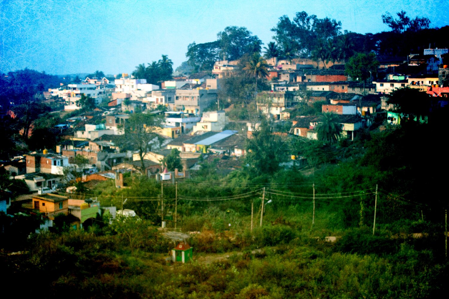 Photo #4181024