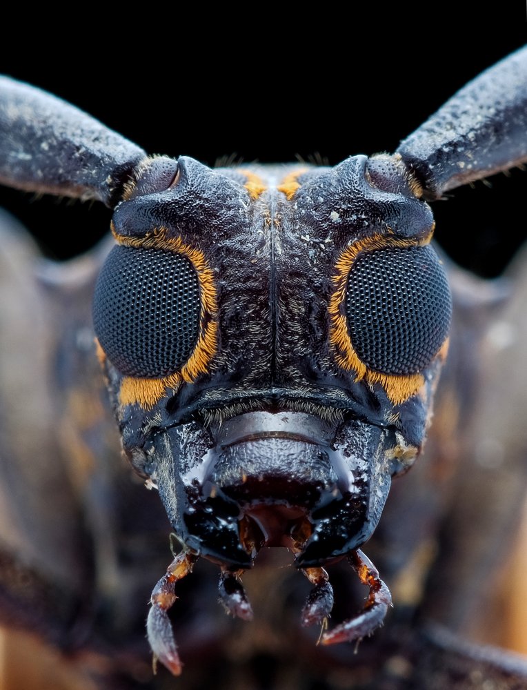 Photograph by Chuah Christopher