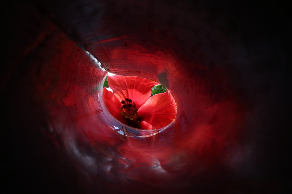 The eyes of the heart