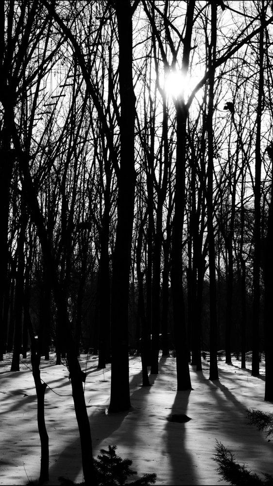 Photograph by Василий Шумкин